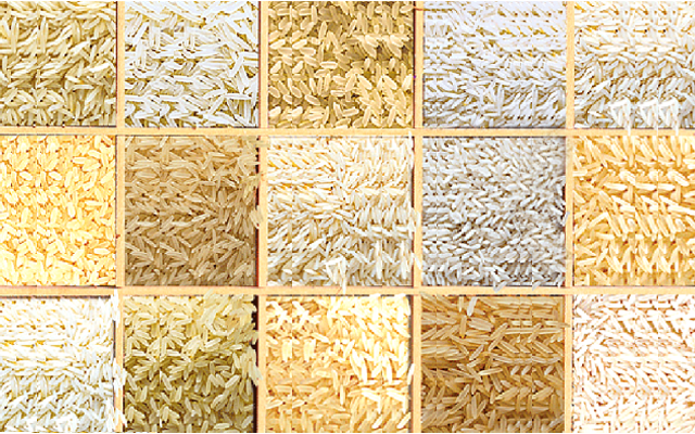 Rice varieties for HoReCa